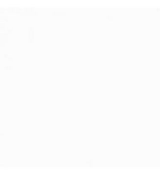 DLW Delifol NG - bílá, 2,00m šíře, 1,5mm, metráž